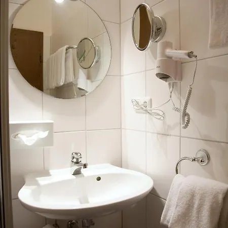 Brauereigasthof Goldener Lowe Otel 3*